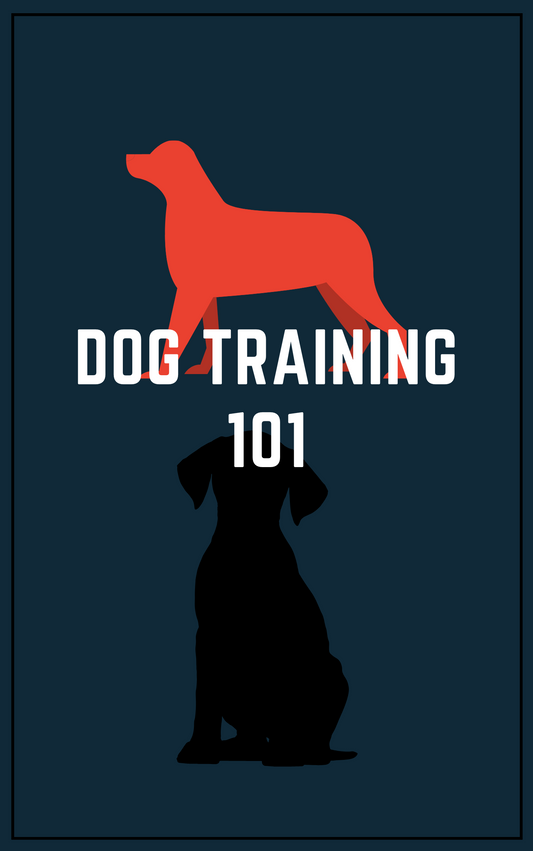 Dog Training 101